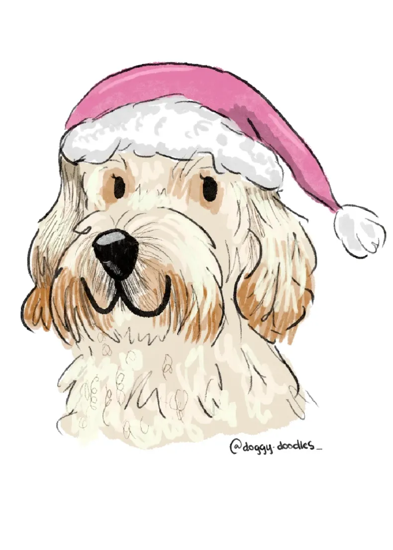A sketch of Meredith, Marigo's Head of Morale: a curly cream dog in a pink Santa hat.